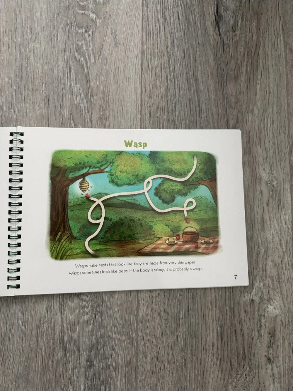 The Good and the Beautiful Insect & Spider Mazes Dry Activity Book